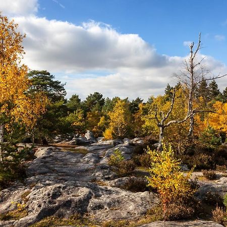 Suites Rive Gauche - Fontainebleau Chez Monique Екстериор снимка
