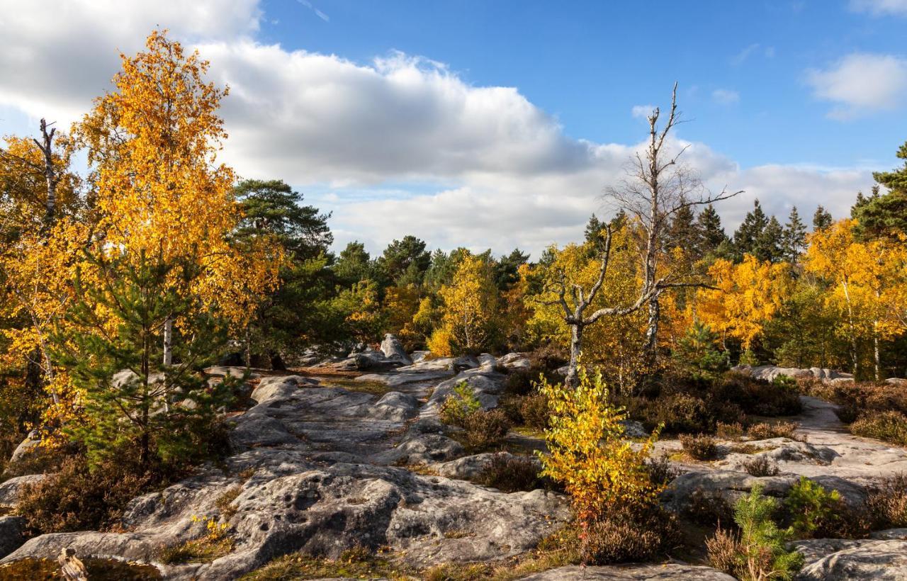 Suites Rive Gauche - Fontainebleau Chez Monique Екстериор снимка